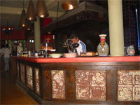 Todos Santos Nightlife 